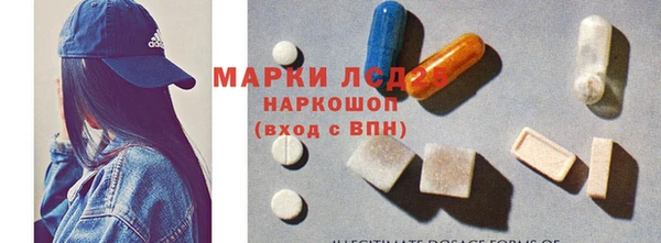 PSILOCYBIN Аркадак