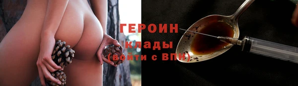 PSILOCYBIN Аркадак