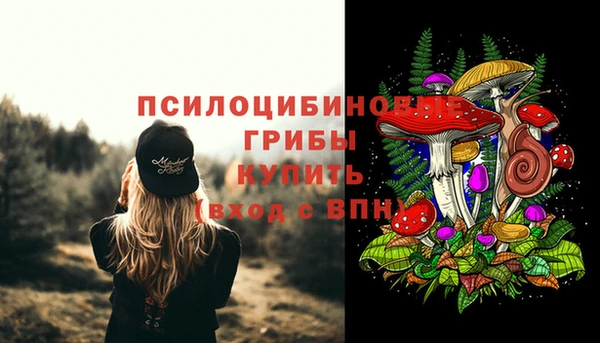 СК Армянск
