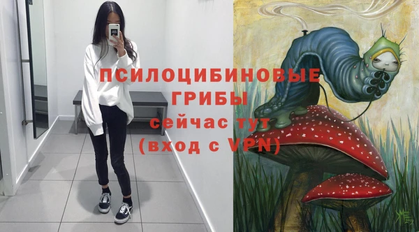 Альфа ПВП Арсеньев