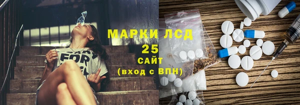 PSILOCYBIN Аркадак