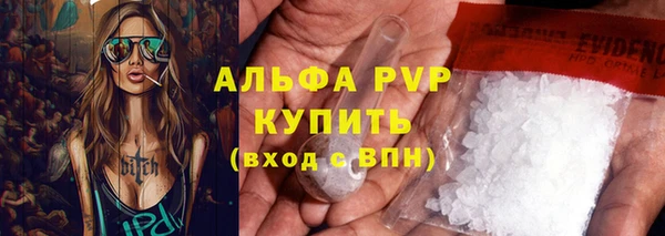 PSILOCYBIN Аркадак