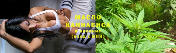 PSILOCYBIN Аркадак