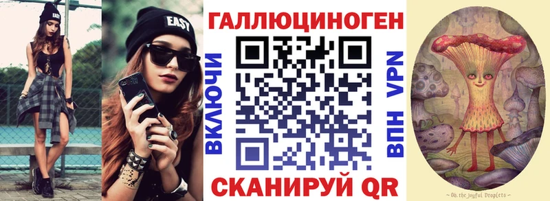 купить закладку  Полярный  Псилоцибиновые грибы Psilocybe 
